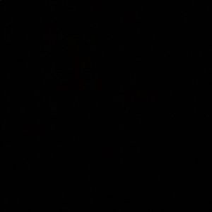 Meet your Posher, Travis